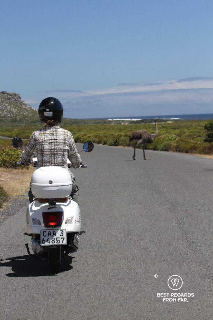 The Cape Peninsula 2-Day Vespa Grand Tour 12 | Cape Town Vespa rentals