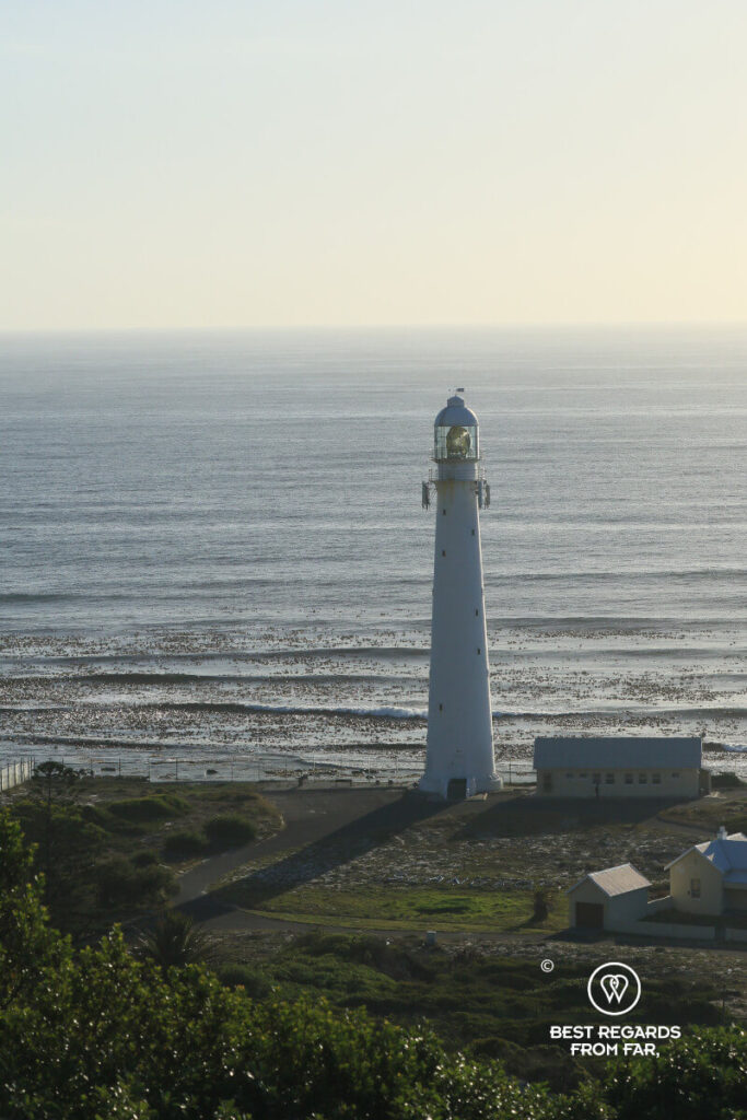 The Cape Peninsula 2-Day Vespa Grand Tour 18 | Cape Town Vespa rentals