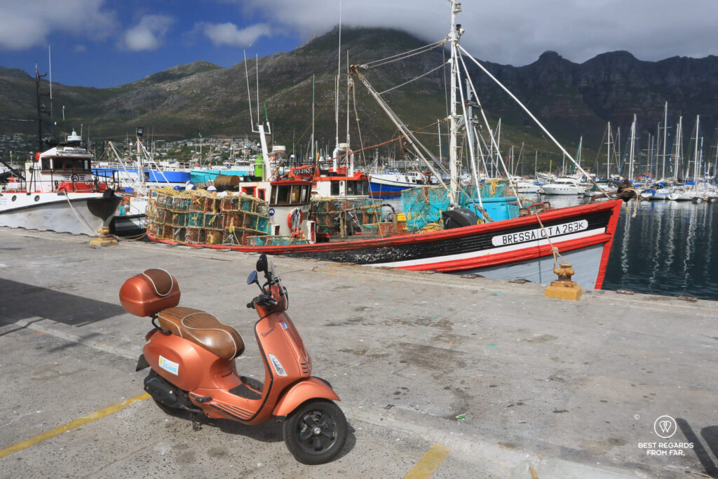The Cape Peninsula 2-Day Vespa Grand Tour 09 | Cape Town Vespa rentals