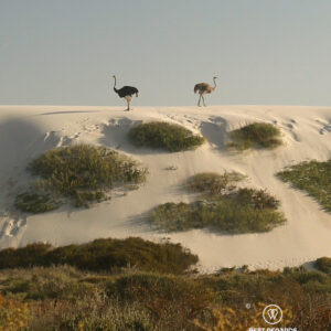 Tour 3 - 5 - West Coast NP