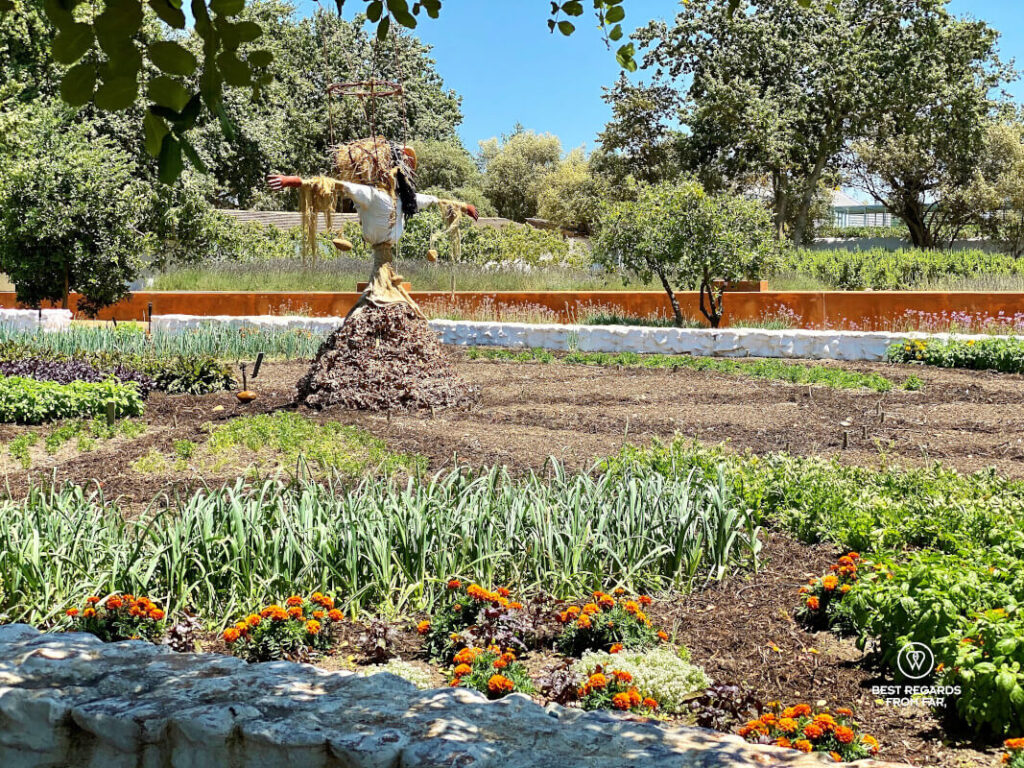 Tour 5 - Babylonstoren
